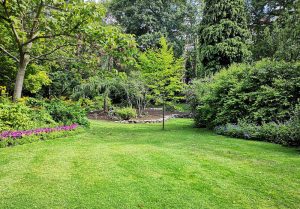 Optimiser l'expérience du jardin à Sagnes-et-Goudoulet