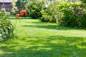 travaux jardin et paysage Sagnes-et-Goudoulet